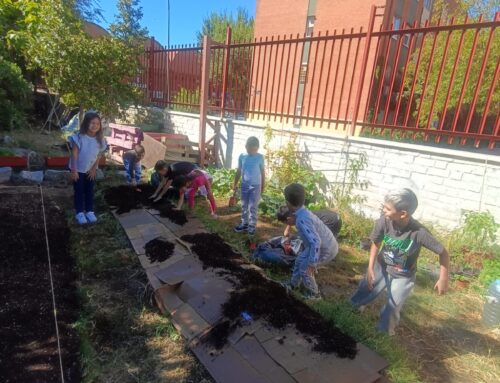 🌿👩‍🌾 Preparando nuestro huerto para el otoño 🍂🌱