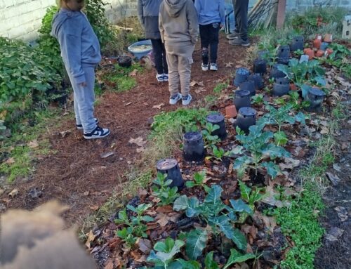 Salida de 1º de Primaria al barrio.